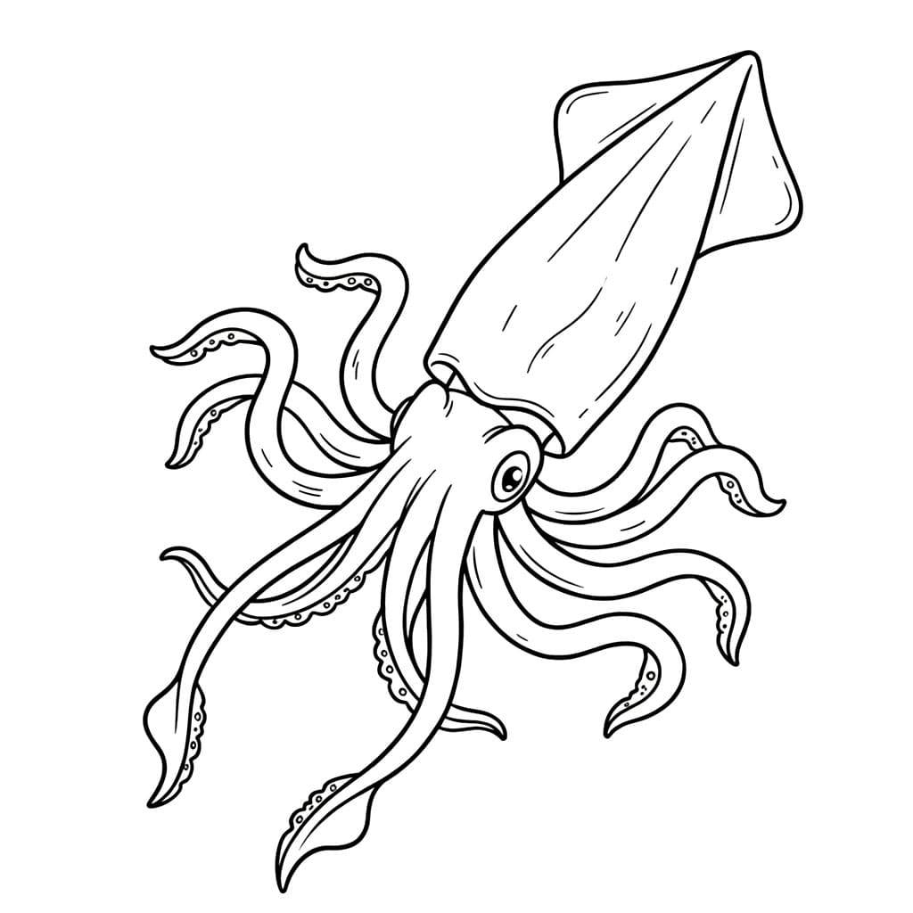 Dyphavsakkar fargelegging