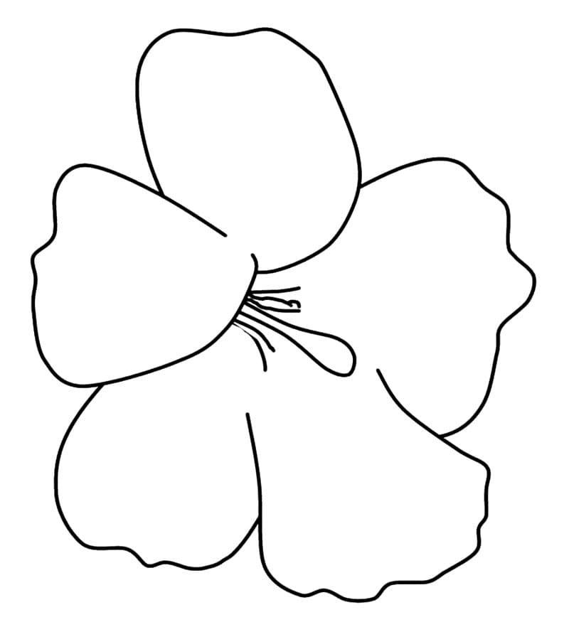 Enkel hibiskus fargelegging