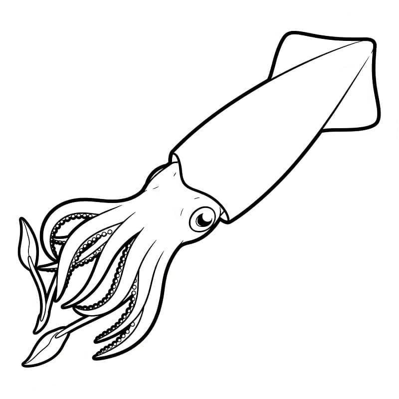 Gratis utskrivbar akkar fargelegging