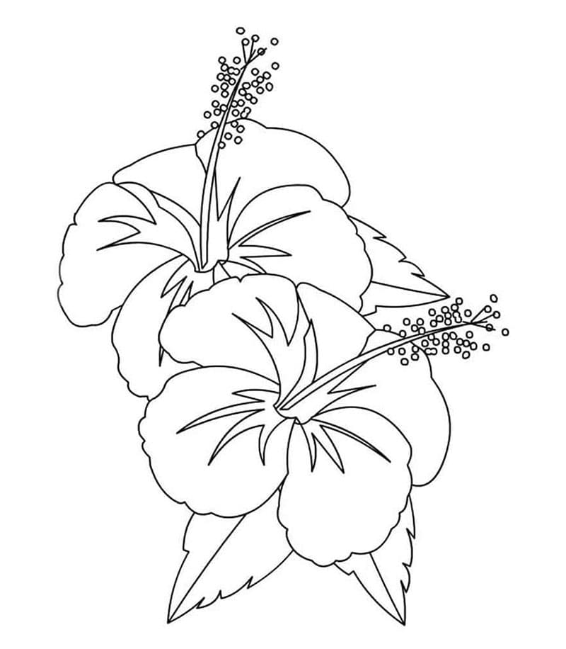 Gratis utskrivbar hibiskus fargelegging