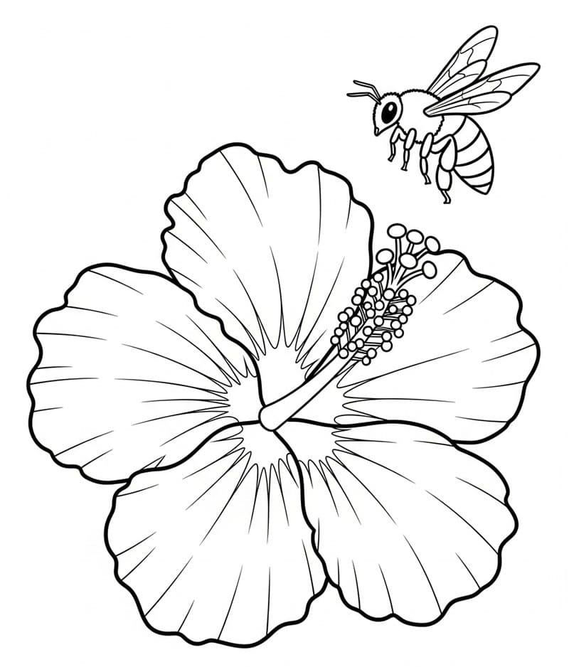 Hibiskus med bie fargelegging