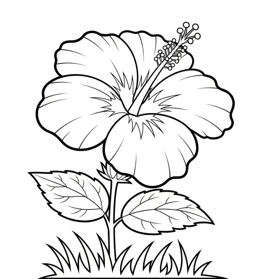 Hibiskus og gress fargelegging