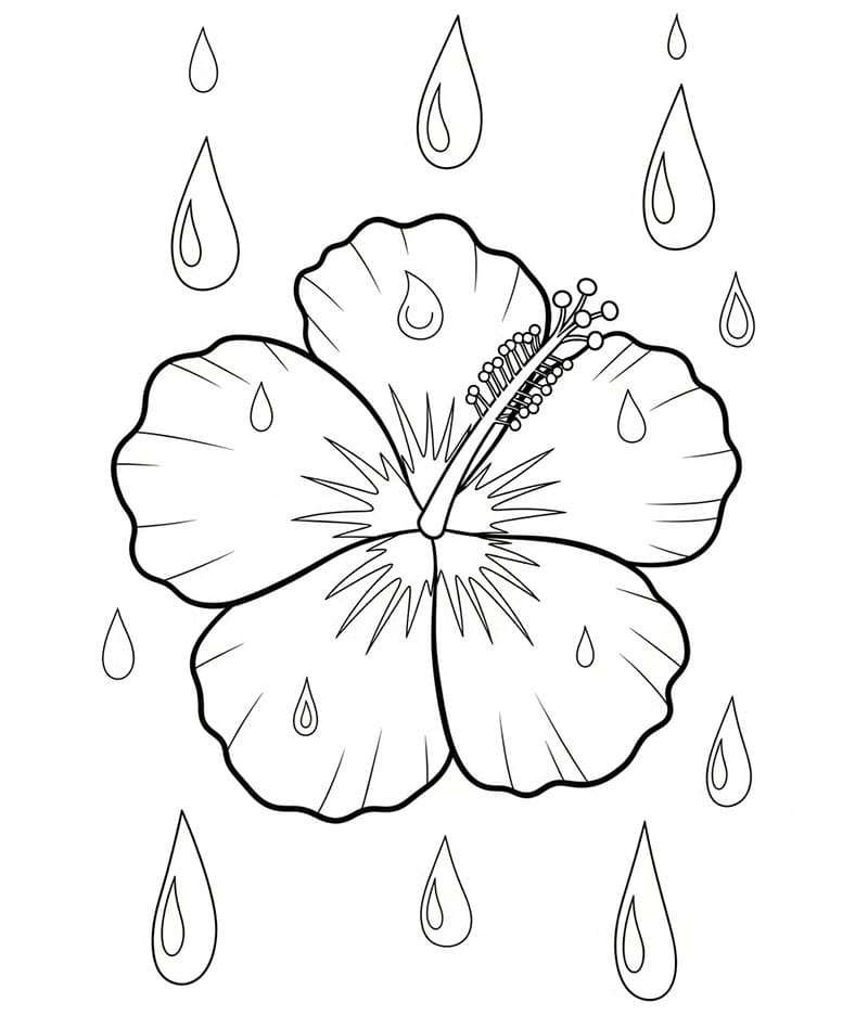 Hibiskus og regndråpe fargelegging