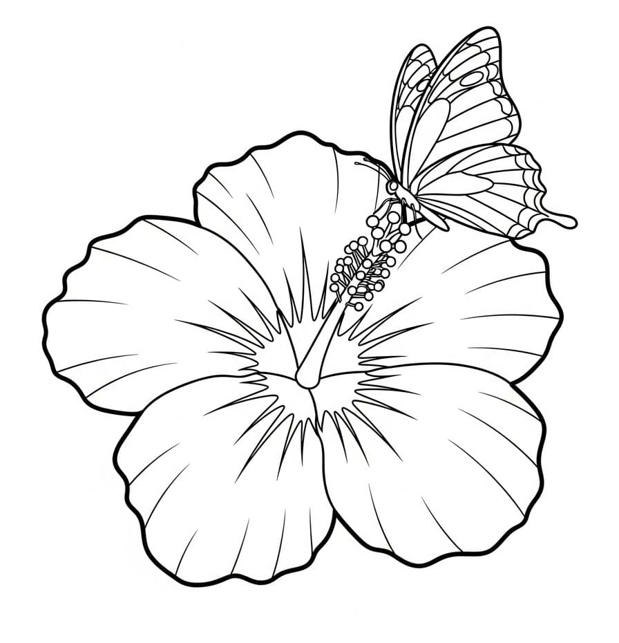 Hibiskus og sommerfugl fargelegging