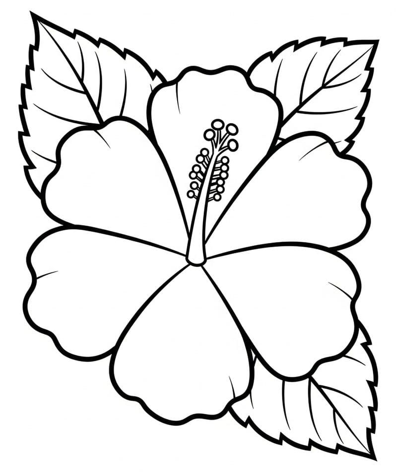 Hibiskus veldig lett fargelegging