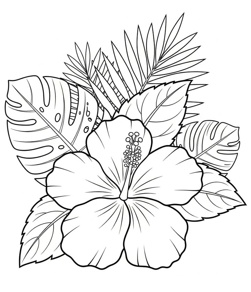 Hibiskusdekorasjon fargelegging