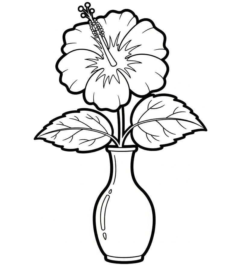 Hibiskuspotte fargelegging