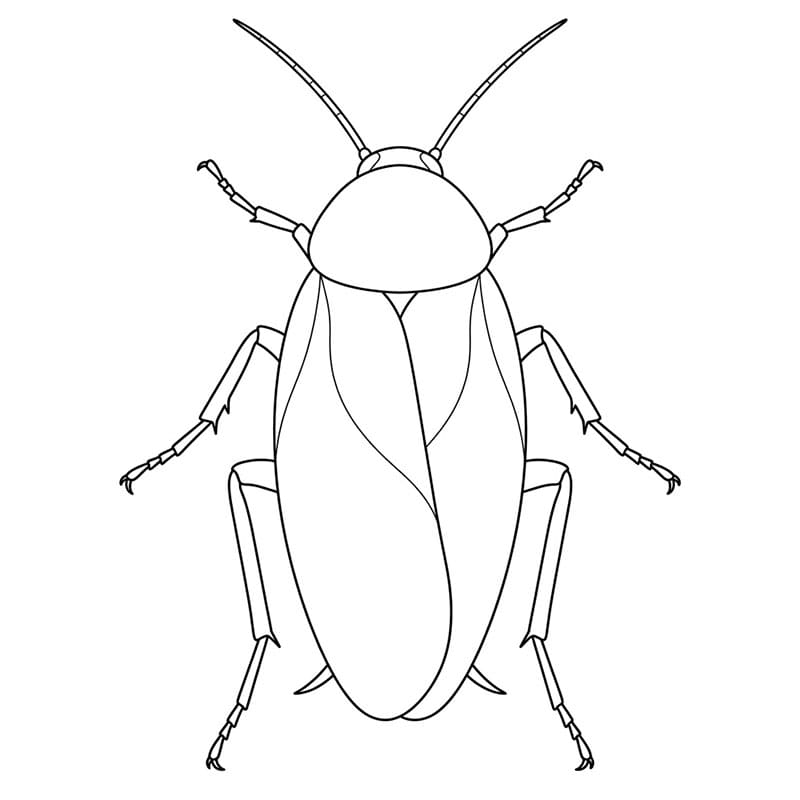 Kakerlakk lukkede vinger fargelegging