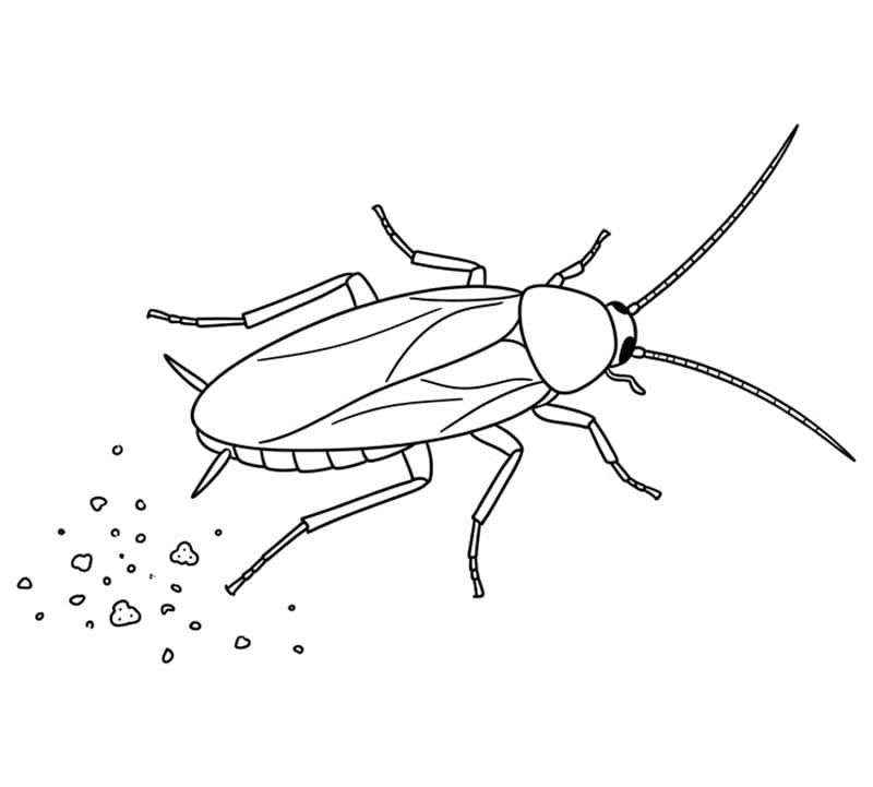 Kakerlakk med smuler fargelegging