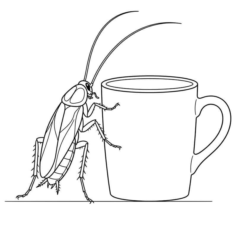 Kakerlakk nær kopp fargelegging