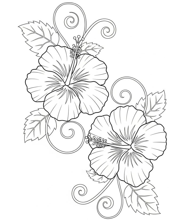 Kunsthibiskus fargelegging