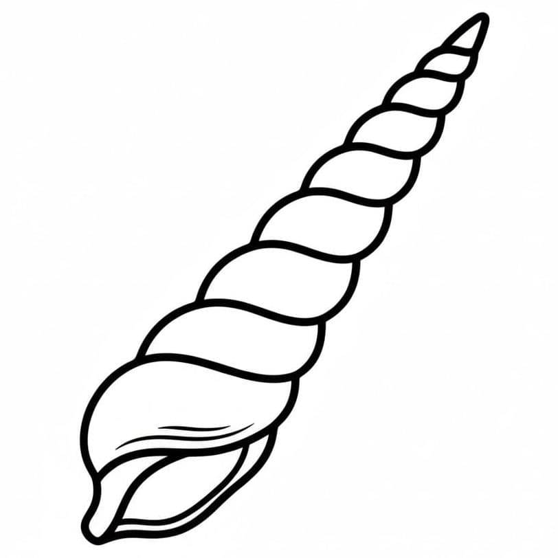 Langt, spisst skall fargelegging