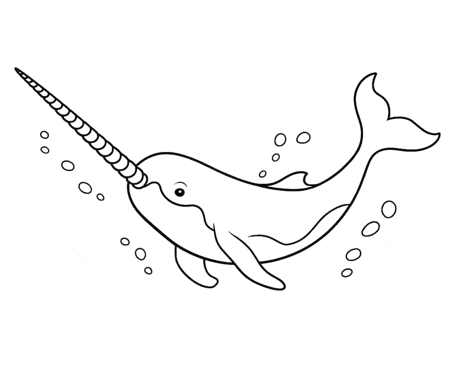 Narhval avslapping fargelegging