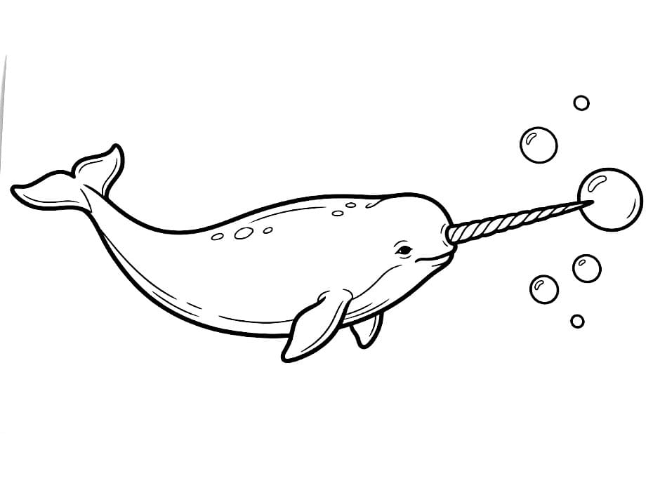 Narhval fargelegging