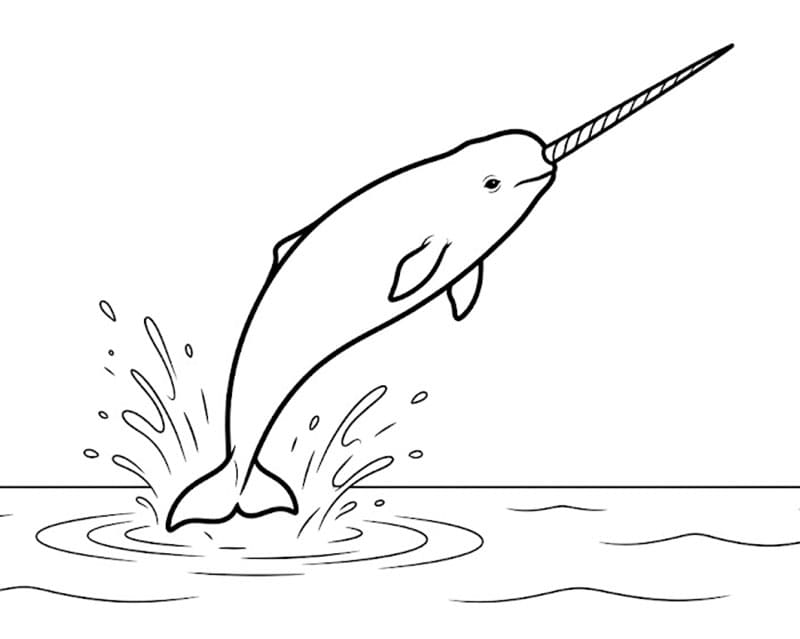 Narhval hoppet opp fargelegging