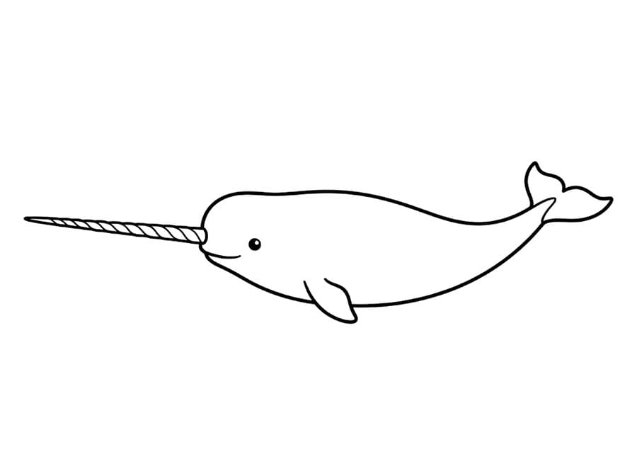 Narhval lett fargelegging