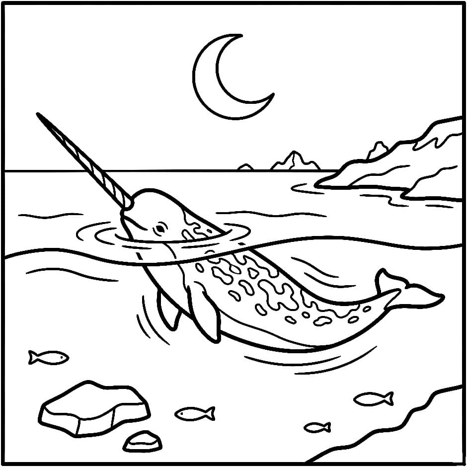 Narhval og den arktiske månen fargelegging