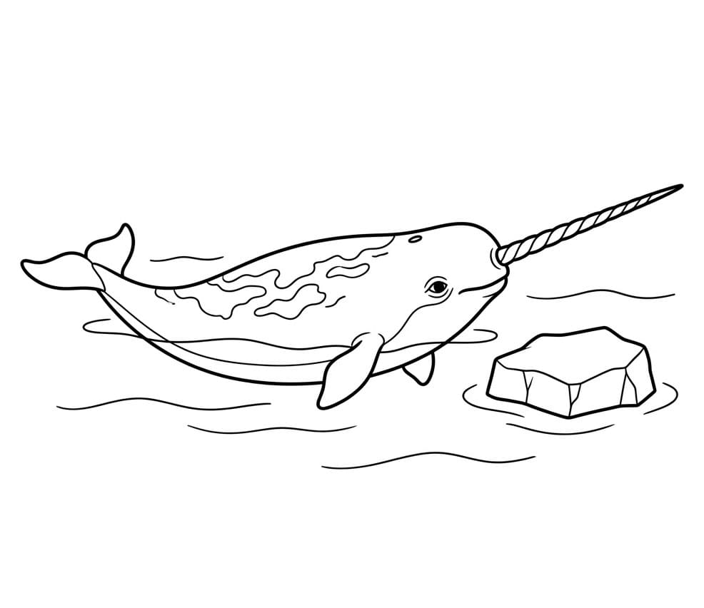 Narhval og is fargelegging