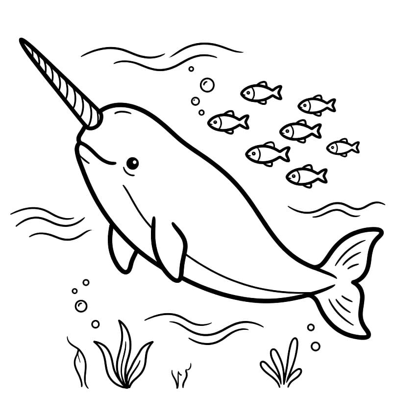 Narhval og liten fisk fargelegging