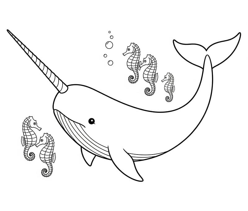 Narhval og musikk fargelegging