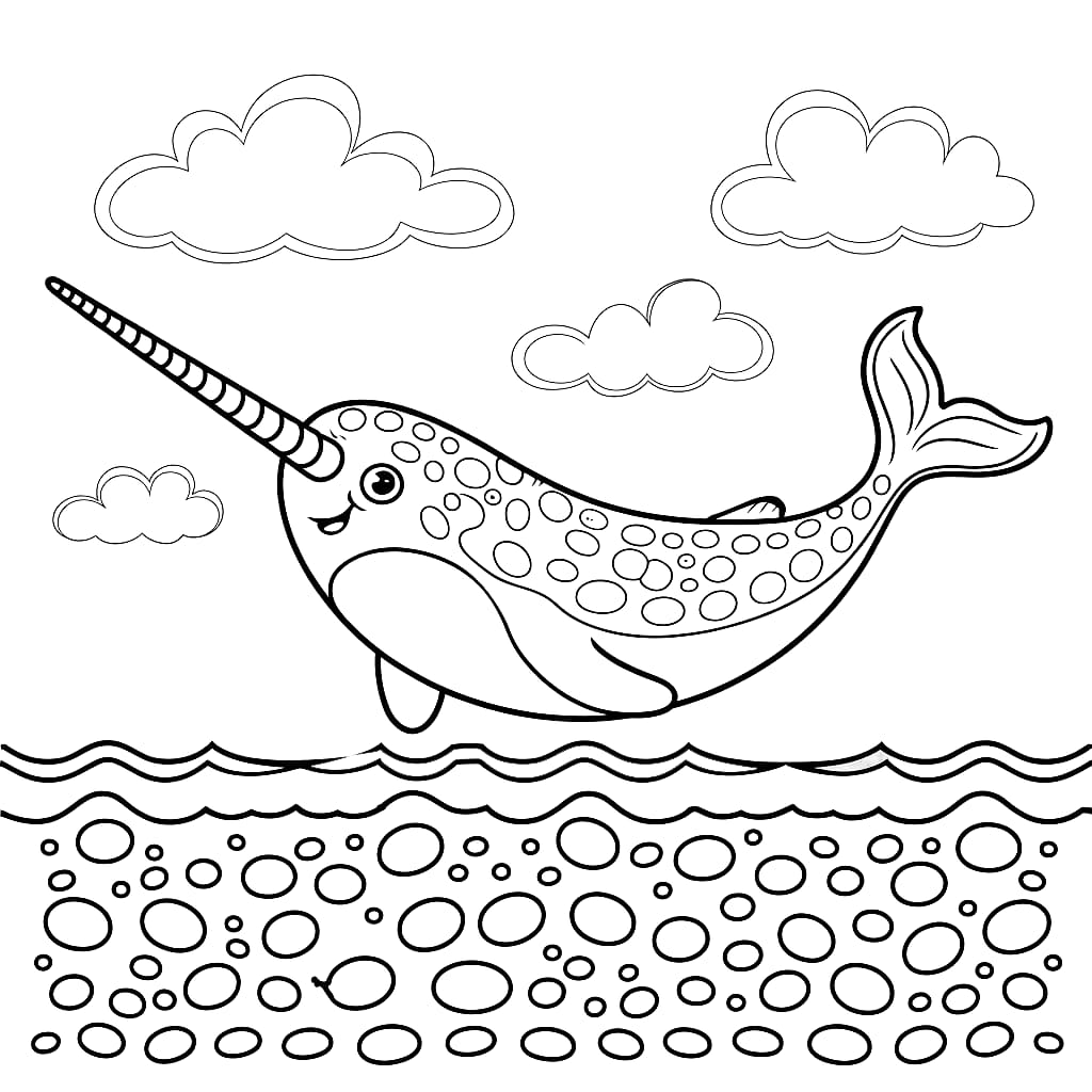 Narhvalbukta fargelegging