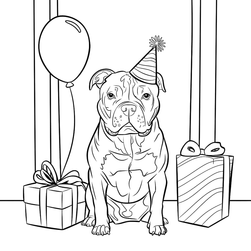 Pitbull ferie fargelegging