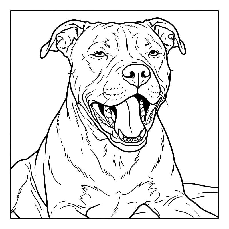 Pitbull strekker seg fargelegging