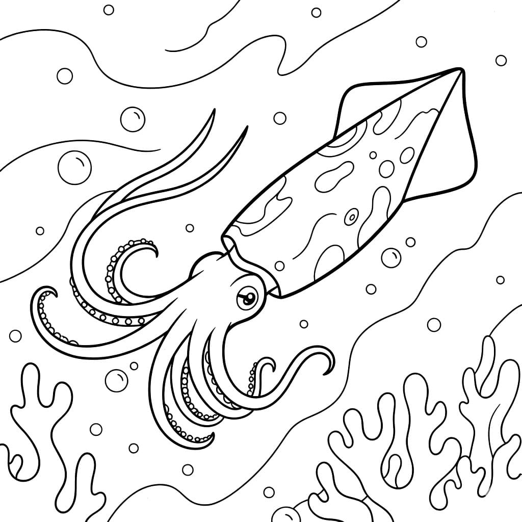 Rolig havakkar fargelegging