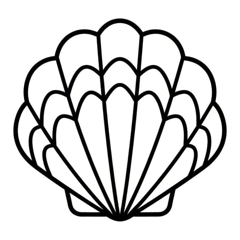 Skjell med sikksakklinjer fargelegging