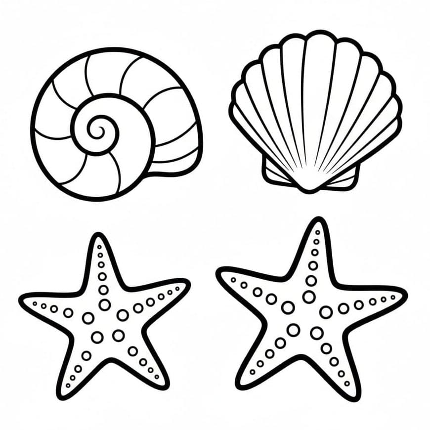 Skjell og sjøstjerner fargelegging