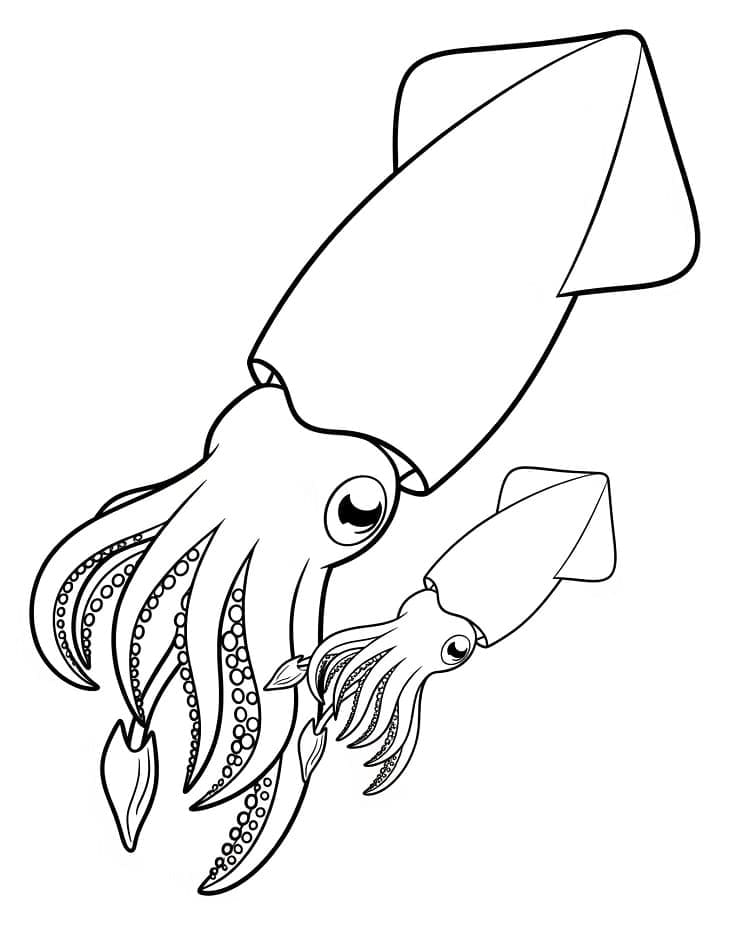 Store og små akkarer fargelegging