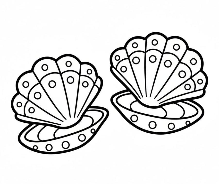 To vakre skall fargelegging