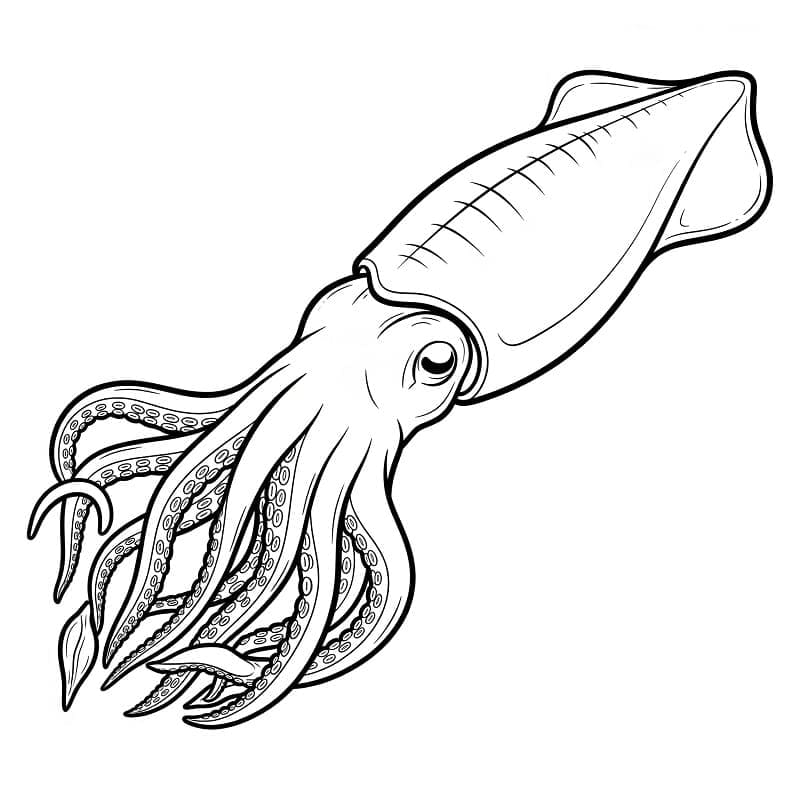 Utskrivbar akkar fargelegging