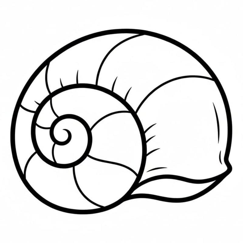 Vakre skall fargelegging