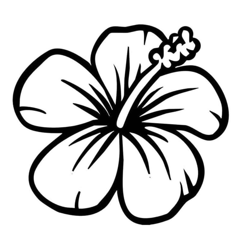 Veldig enkel hibiskus fargelegging