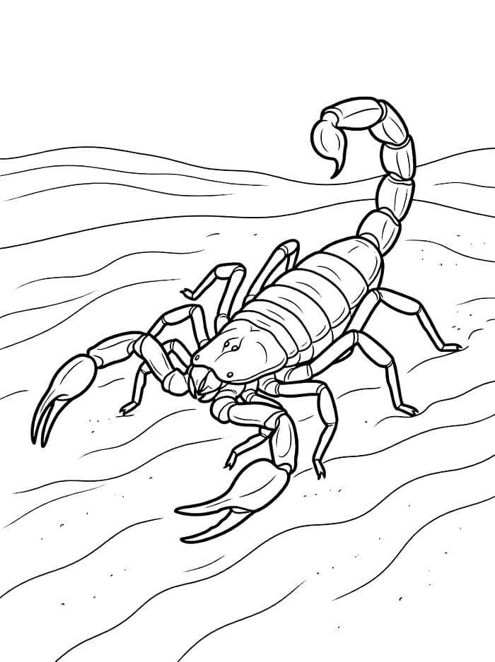 Krypende sandskorpion fargelegging