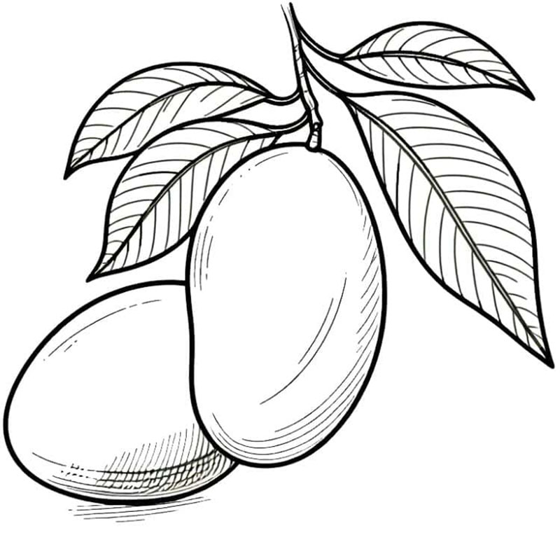 Kul mango fargelegging