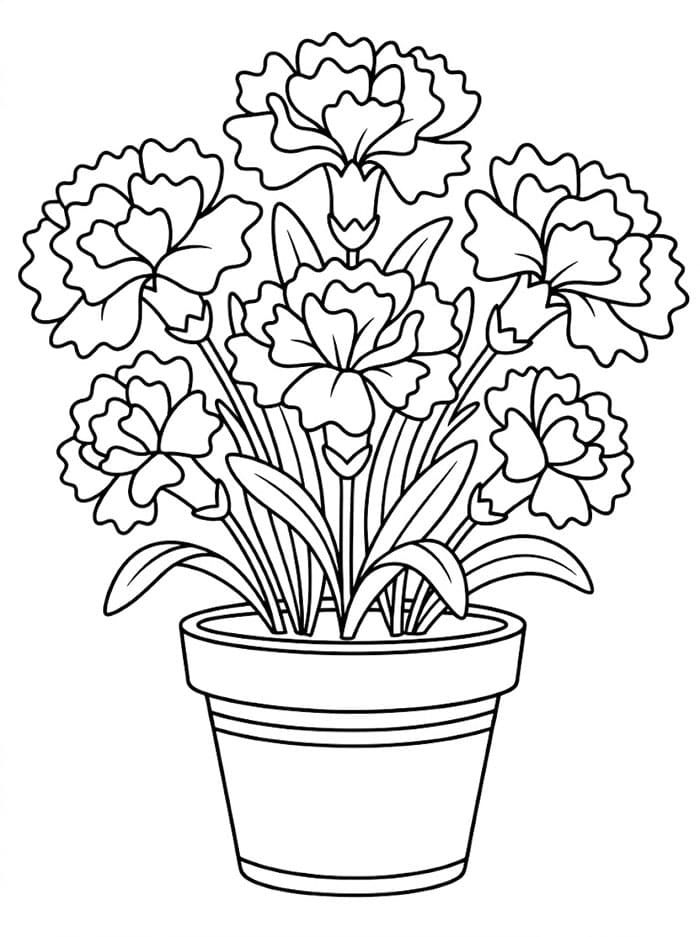 Nellikblomsterpotte fargelegging
