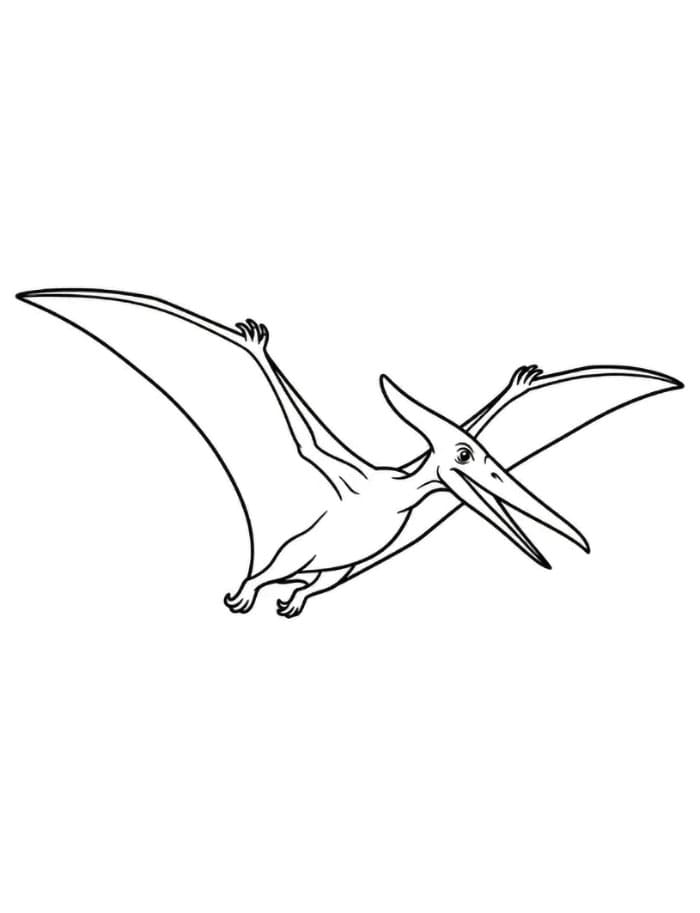 Pterodactyl fri fargelegging