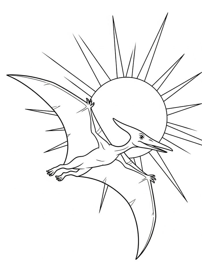 Pterodactyl og sol fargelegging