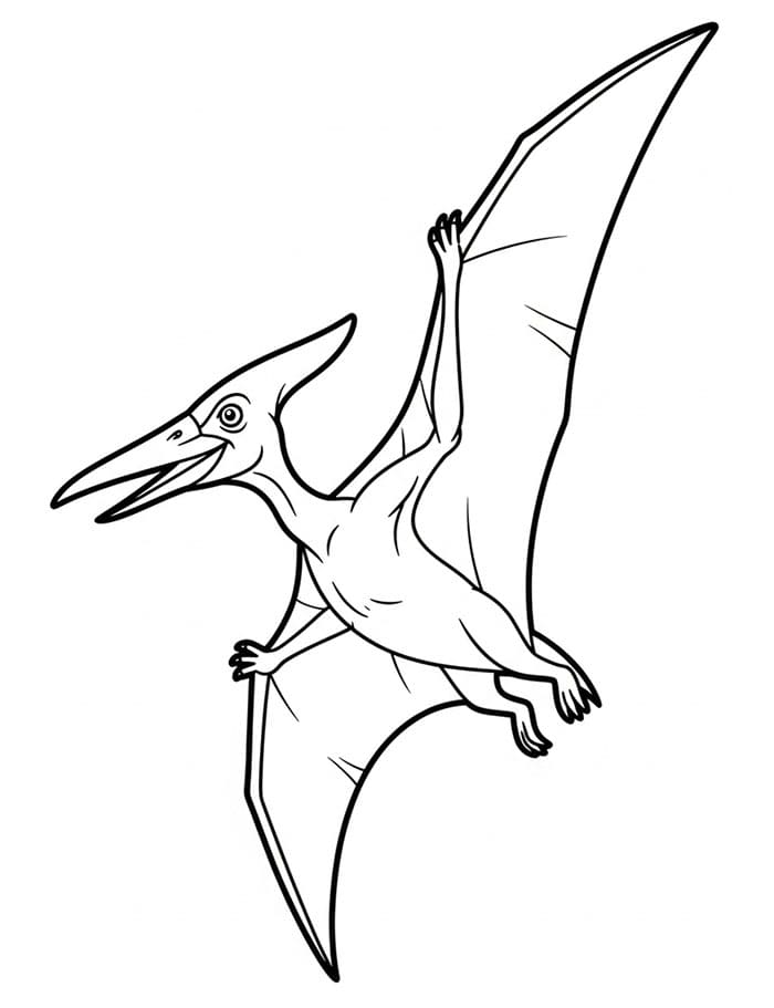 Pterodactyl Fargelegging
