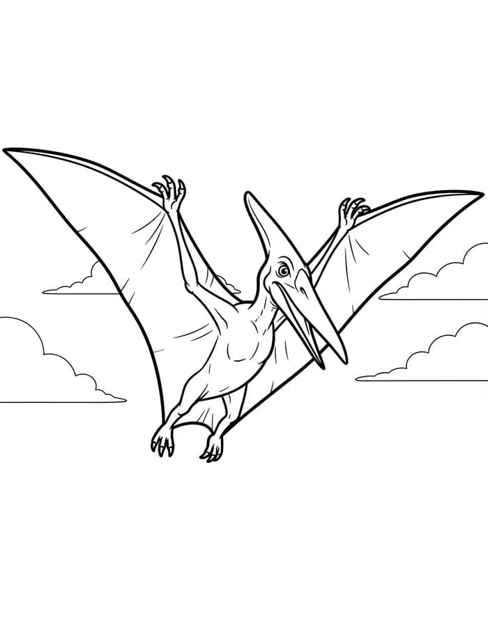 Pterodactyl på himmelen fargelegging