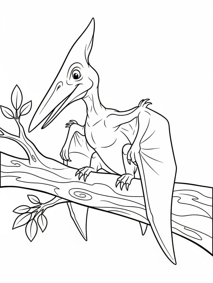 Pterodactyl på tre fargelegging