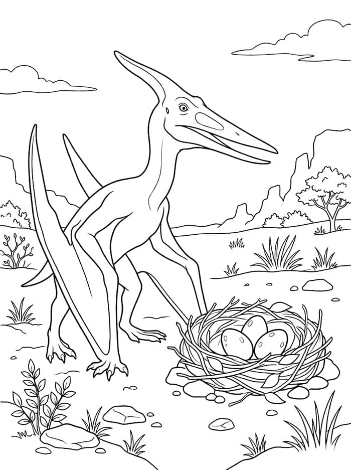 Pterodactyl rede fargelegging