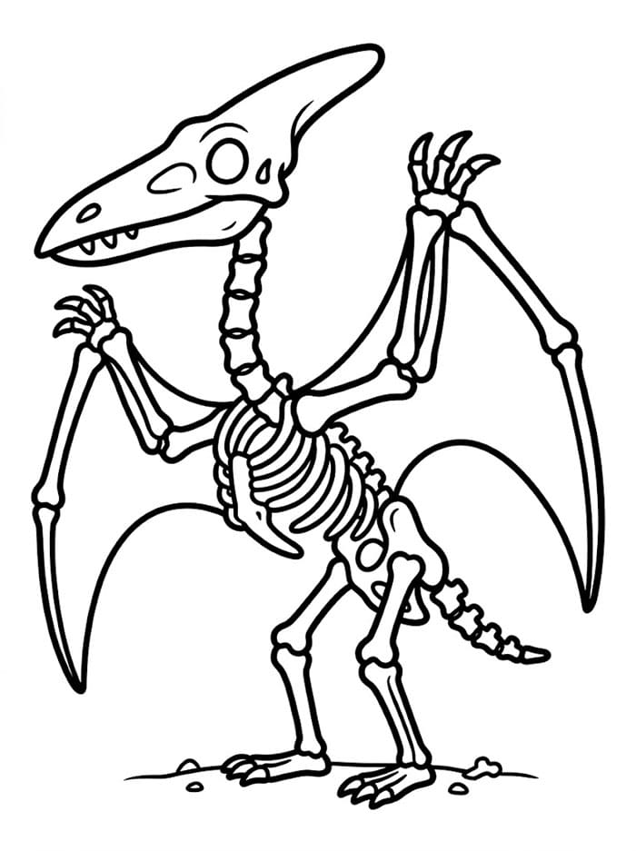 Pterodactyl skjelett fargelegging