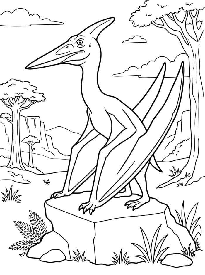 Realistisk pterodactyl på stein fargelegging