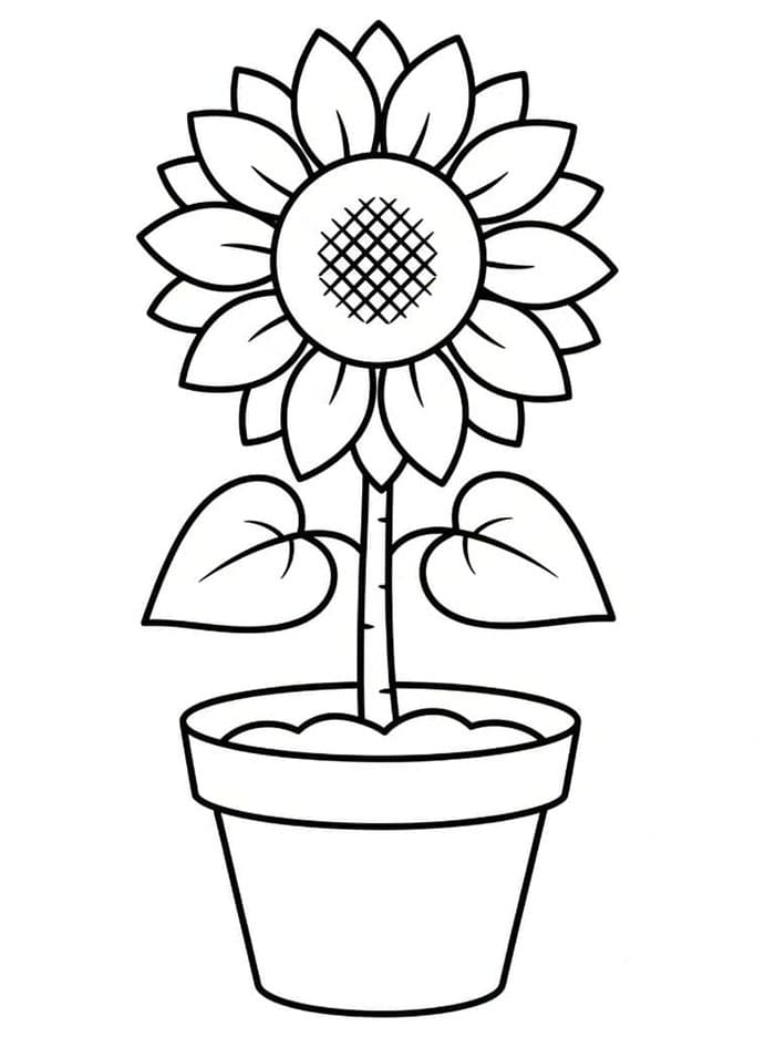 Solsikke Blomsterpotte fargelegging