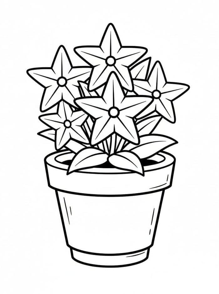 Stjerneblomsterpotte fargelegging