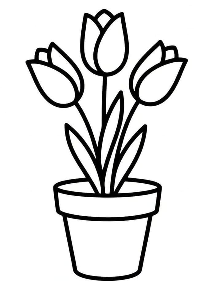Tulipanblomsterpotte fargelegging