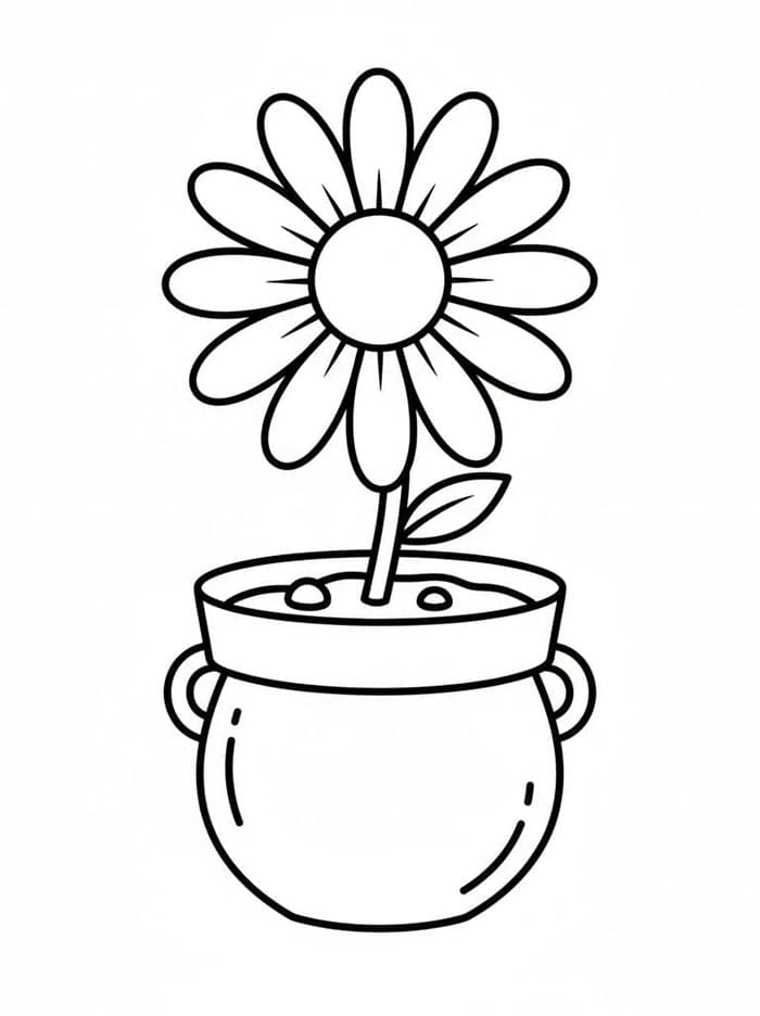 Tusenfrydblomsterpotte fargelegging